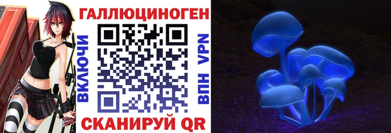 как найти наркотики Западная Двина Галлюциногенные грибы прущие грибы